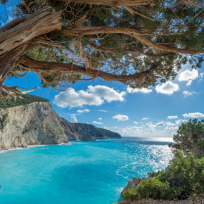 Lefkada Baum