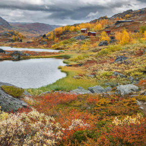 Schweden bunte Landschaft