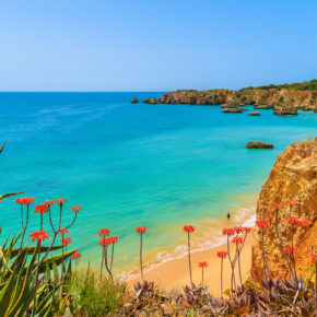 Algarve Blumen Ausblick