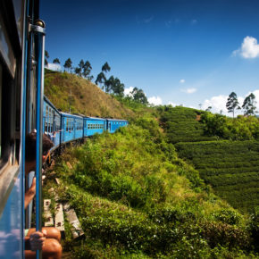 Sri Lanka Tipps: Eine Entdeckungsreise durch die Perle des Indischen Ozeans