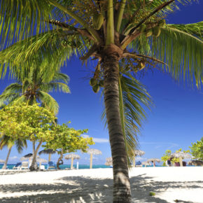 Traumurlaub: 10 Tage Kuba im TOP 4* Hotel mit All Inclusive, Flug & Transfer um 1.234€