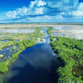 USA Everglades von oben