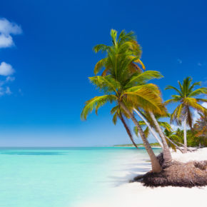 Paradiesische Dom Rep: 10 Tage im tollen 4* Resort mit All Inclusive, Flug & Transfer um 1156€