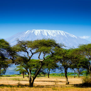 Kenia: 15 Tage nach Nairobi mit Hin- und Rückflug & Gepäck nur 455€