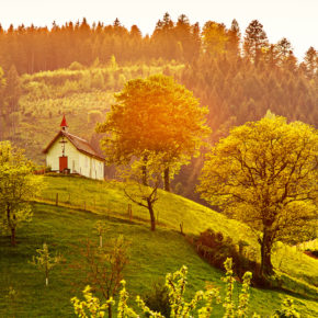 Schwarzwald Häuschen