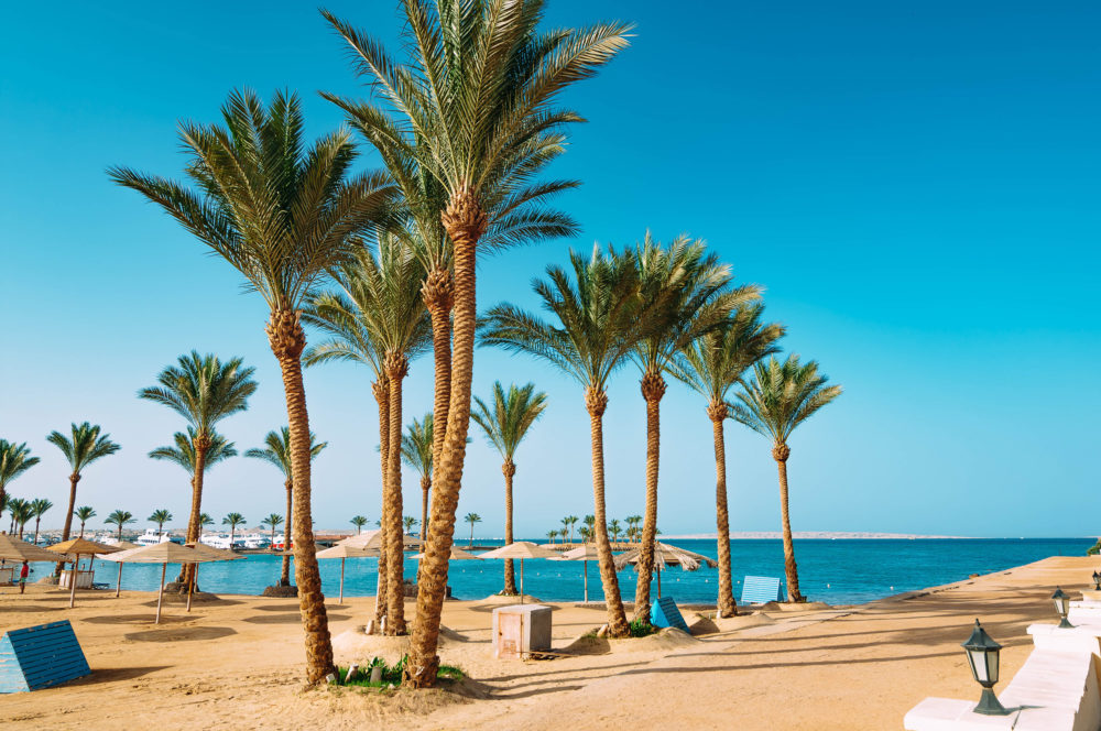 Ägypten Strand Palmen