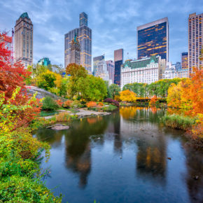 USA New York Central Park Hebst