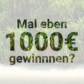 Gewinnspiel Restplatzboerse Beitragsbild