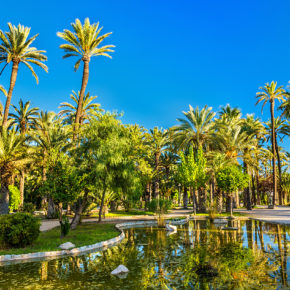 Spanien Costa Blanca Elche