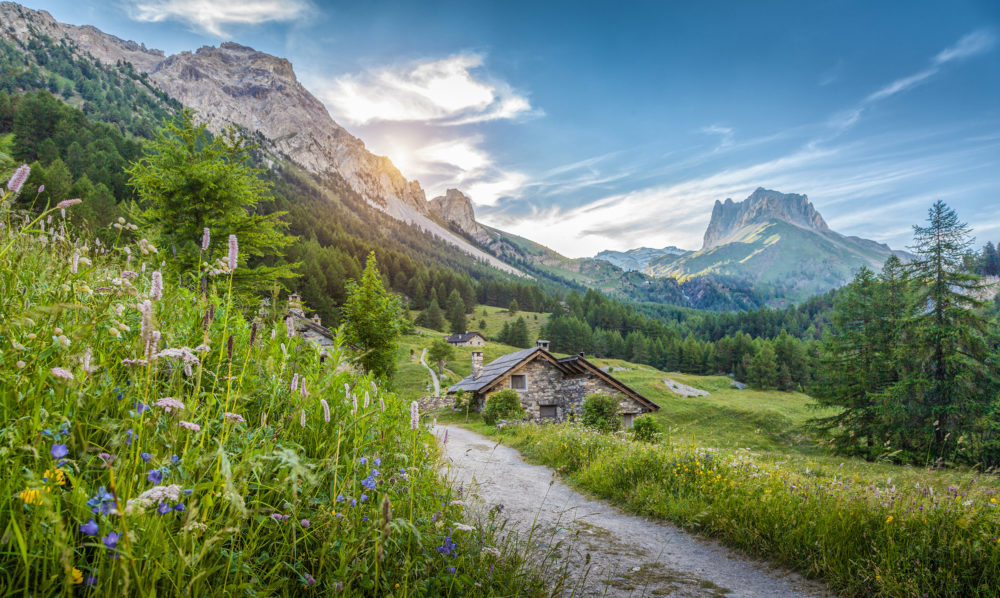 Alpen Tirol