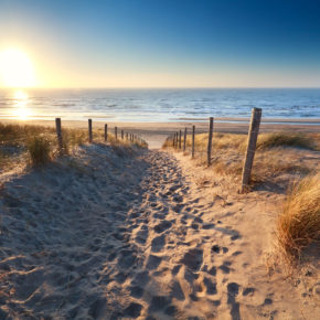 Strandweg Strandhäuser Holland