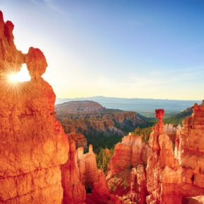 USA Bryce Canyon Felsen