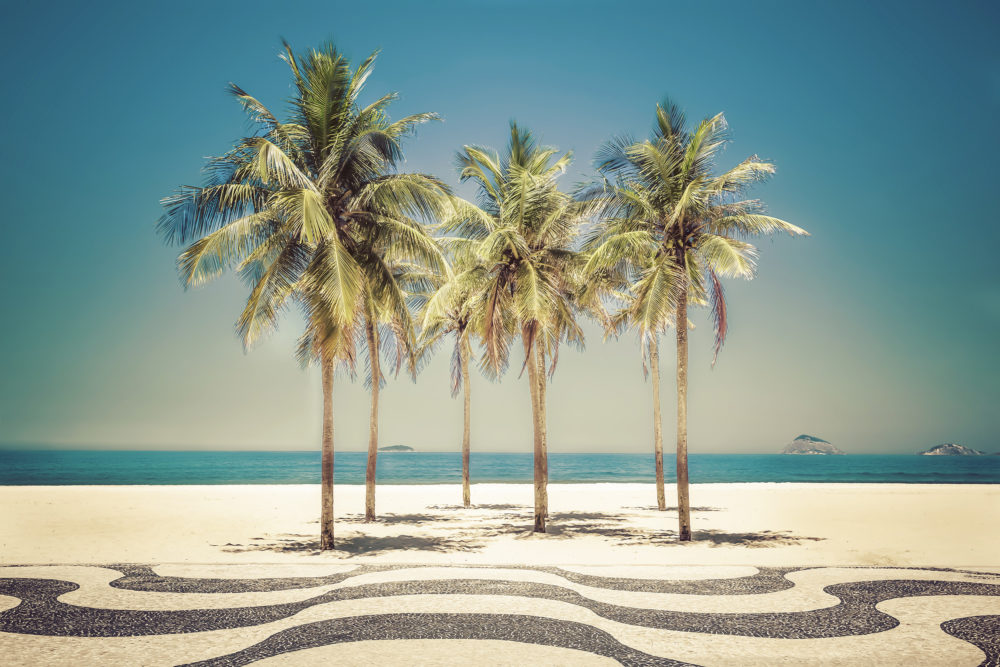 Brasilien Rio Copacabana Palmen