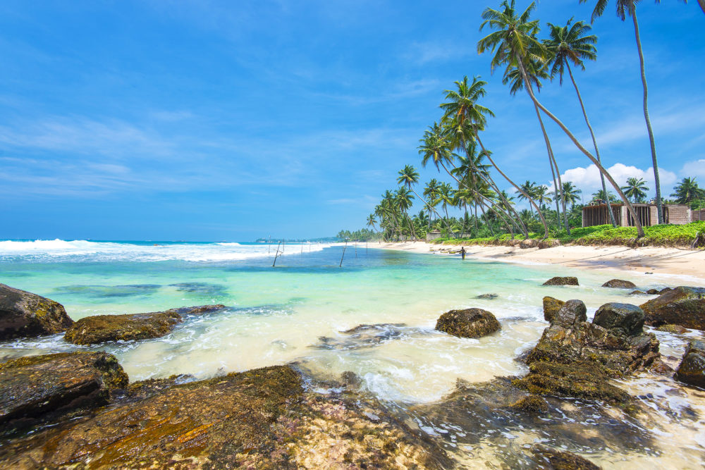 Sri Lanka Palmen Strand