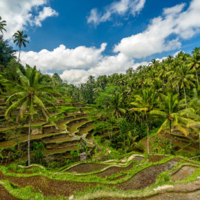 Frühbucher Bali: 13 Tage im schönen 4* Hotel in Strandnähe inklusive Flug um 796€