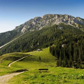 Niederoesterreich Wanderweg