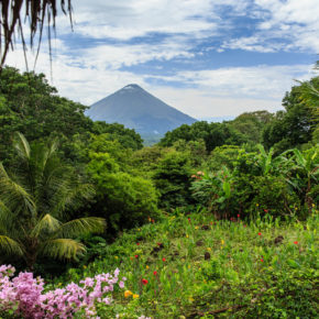 Nicaragua Ometepe Natutr