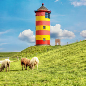 Nordsee Leuchtturm Pilsum Schafe