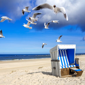 Sylt Strandhaus Möwen