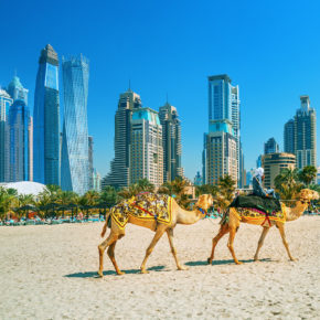 Habibi come to Dubai: 6 Tage ins sehr gute 4* Hotel mit Frühstück & Flug ab 548€