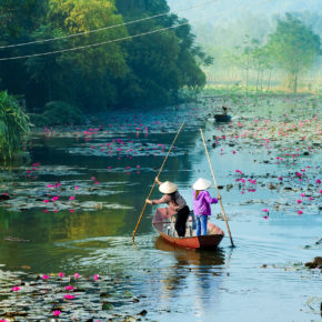 Vietnam Huong