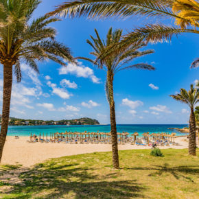 Ab nach Mallorca: 5 Tage in Can Picafort im 3* Hotel & Flug nur 129€