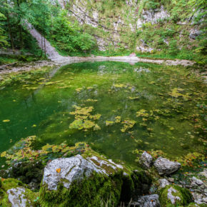 Slowenien Divje Jezero