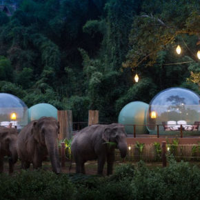 Anantara Golden Elephants Bubble