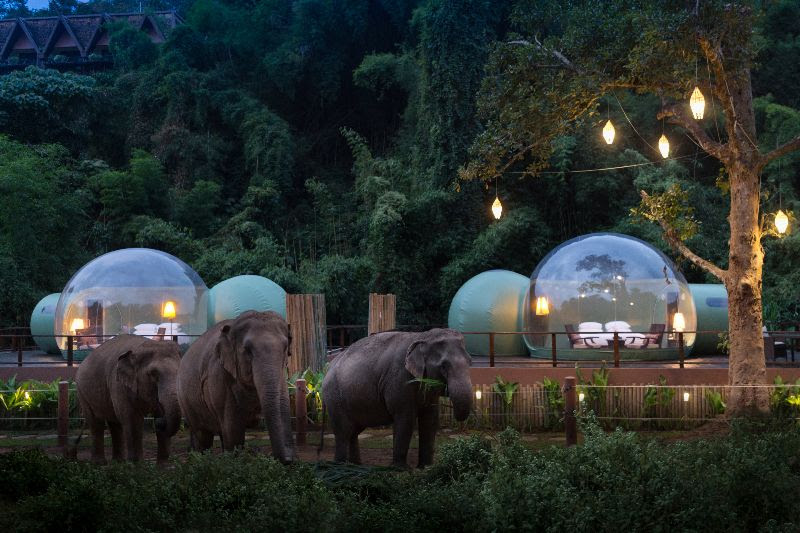 Anantara Golden Elephants Bubble