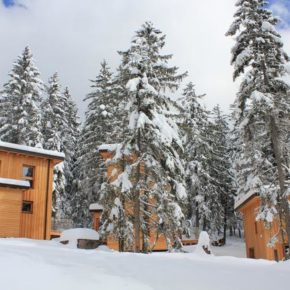 Winterliches Trentino: 8 Tage im schönen Waldchalet für 5 Personen nur 249€ p.P.